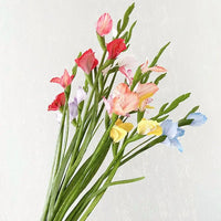 Plantes Artificielles Gladiolus