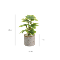 Plantes Artificielles en Pot