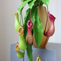 Plante Décorative Nepenthes Artificielle