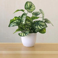 Plante Artificielle Dieffenbachia en Pot