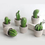 Collection de Cactus Artificiels