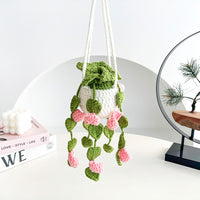 Plantes de Vigne Crochet