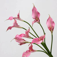 Fleurs Artificielles Calla Lily