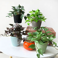 Ensemble de Plantes Artificielles en Pots