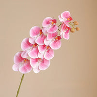 Orchidée Artificielle Réaliste