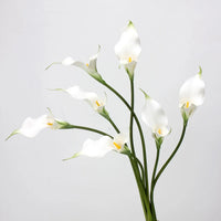 Fleurs Artificielles Calla Lily