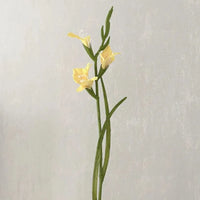 Plantes Artificielles Gladiolus