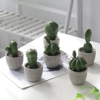 Collection de Cactus Artificiels