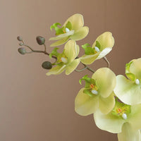 Orchidée Artificielle Réaliste