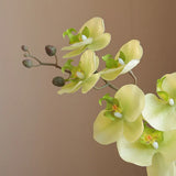 Orchidée Artificielle Réaliste
