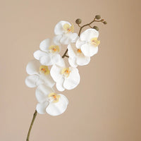 Orchidée Artificielle Réaliste
