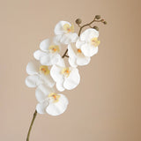 Orchidée Artificielle Réaliste