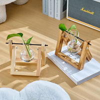 Vase Hydroponique avec Support en Bois