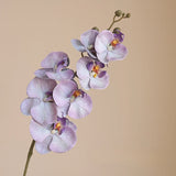 Orchidée Artificielle Réaliste