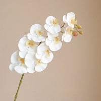 Orchidée Artificielle Réaliste