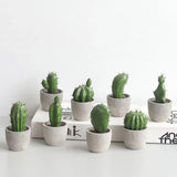 Collection de Cactus Artificiels